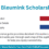 Eric Bleumink Scholarships 2026 in Netherlands | Fully Funded